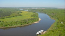image (7)