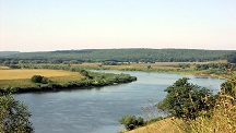 image (5)