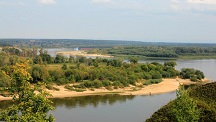 image (4)