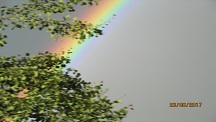 image (42)