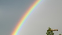 image (43)