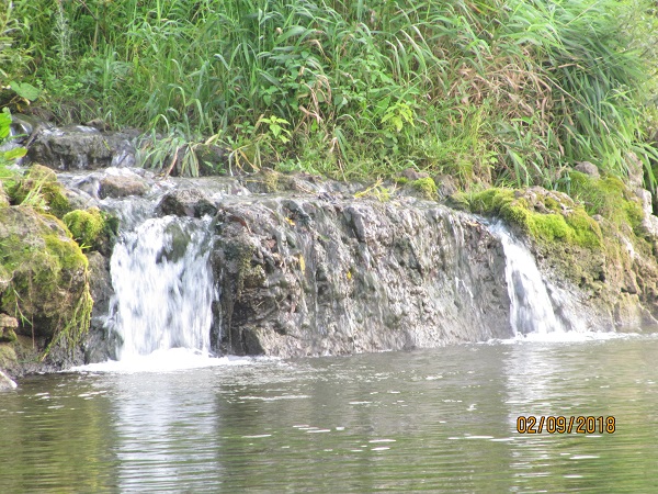 image (5)
